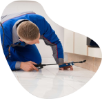 Pest Control Dubai, Pest Control Sharjah, Pest Control Ajman