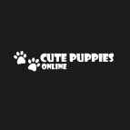 cs puppies LLC