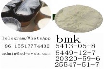 BMK Ethyl 2-phenylacetoacetate cas 5413-05-8 Hot sale in Europe and America good price in stock for sale