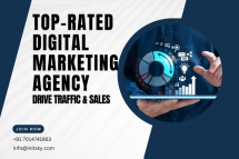 Top-Rated Digital Marketing Agency in USA - Drive Traffic & Sales