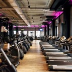 best gyms in ludhiana