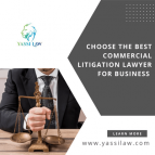 Choose the best Commercial Litigation Lawyer for business