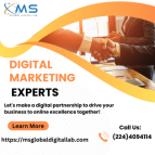 Get Digital Marketing Professional for Business Success