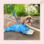 Dog Raincoat with Belly Coverage