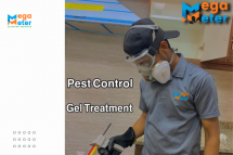 Pest Control Services in Dubai: Best Pest Control Company in Dubai, UAE - Mega Meter Cleaning Services LLC