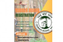 Get Rubber Board Registration Easily with Expert Assistance