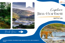 Delhi to Jim Corbett Taxi Services Online