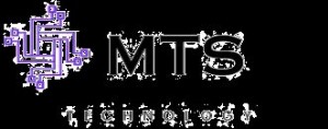 MTS Classes - Computer training institute in Thane