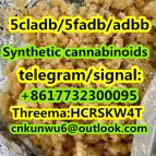 Synthetic cannabinoids/5cladb/5fadb/adbb mdmb-4en-pinaca