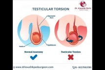 Best Testicular Torsion Treatment in Bangalore by Dr. Koushik Herle