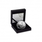 Invest in Precious Silver Coins with IBV Gold Today!