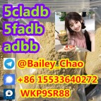 5CL-ADB 5cladba 5cladb 5fadb 5cl-adb-a adbb  synthetic cannabinoids