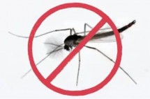 Effective Mosquito Pest Control for a Safer Home