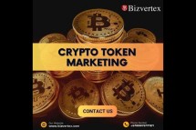 Seeking for Investors to Invest in Your Crypto Token - Contact Us