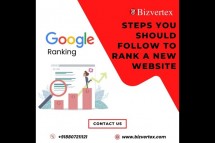 How to Rank Your New Website Quickly? Bizvertex Can Help Affordably!