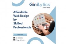 Affordable Web Design by Skilled Professionals