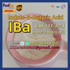 5.Plant Growth Regulator CAS 133-32-4 3 Indolebutyric Acid Iba