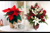 Aroma Flowers: Delivering Christmas Cheer One Bouquet at a Time