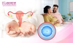 Best IUI Treatment in Bangalore – Low-Cost & High Success Rate