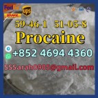 Procaine CAS 59-46-1  Procaine HCl CAS 51-05-8