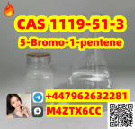 High purity 5-Bromo-1-pentene CAS 1119-51-3 factory price