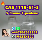 Professional Manufacture High Quality Organic Intermediate 5-Bromo-1-Pentene CAS 1119-51-3