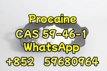 High Quality Procaine  CAS 59-46-1