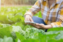 Software For Growers