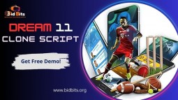 Dream 11 Clone Script: Your Gateway to a Profitable Fantasy Gaming Business