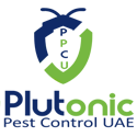 Plutonicuae