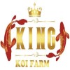 Cá Koi Kingkoifarm