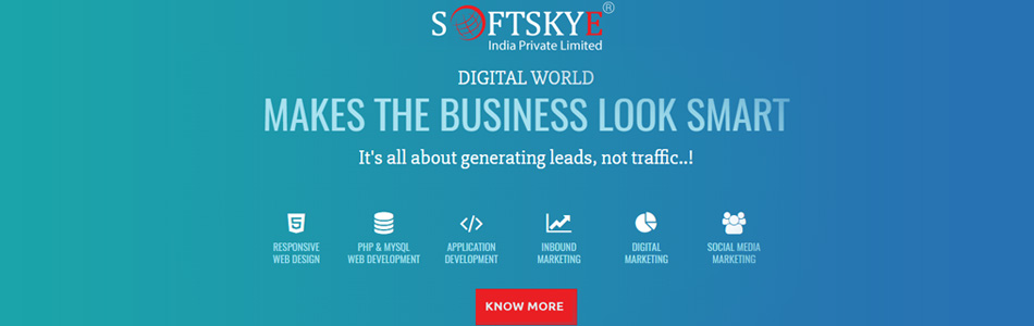 Softskye India PVT LTD