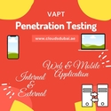 Cost-Effective Penetration Testing